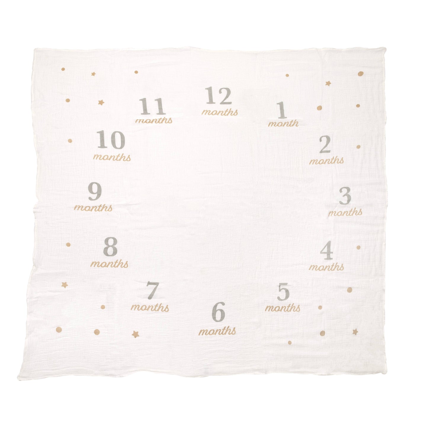 Monthly Milestone Blanket & Photo Prop Kit